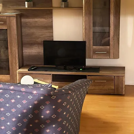 Stein 1 Og * 弗里茨拉尔